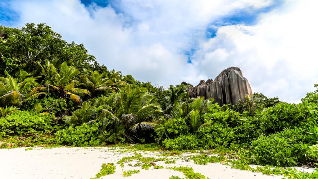 Photo 35: Dream Yacht Silhouette Dream - Seychelles (Seychelles)