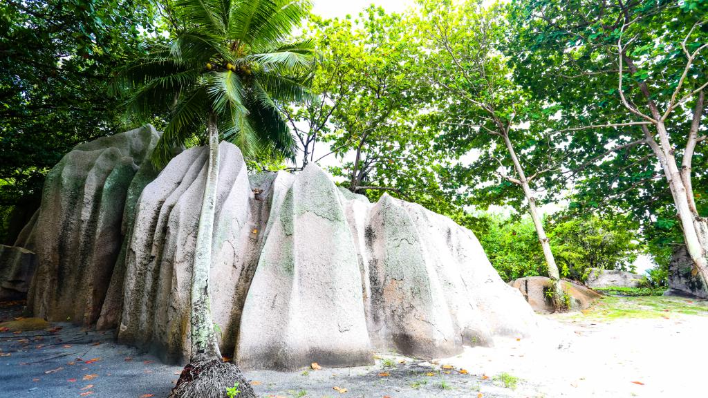 Photo 52: Dream Yacht Silhouette Dream - Seychelles (Seychelles)