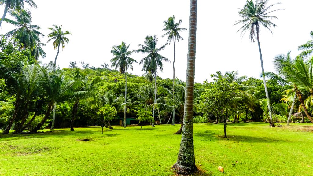 Photo 53: Dream Yacht Silhouette Dream - Seychelles (Seychelles)