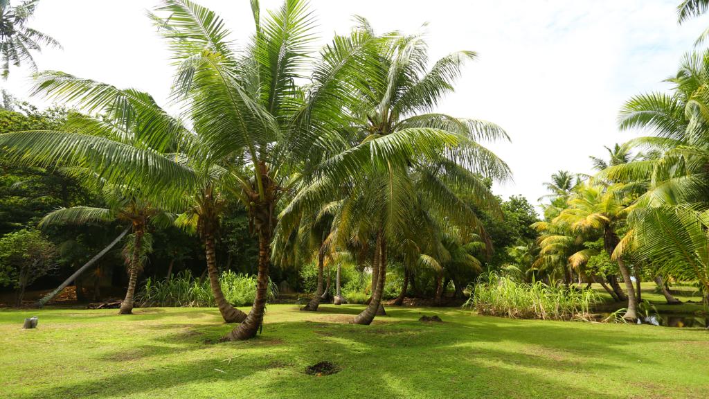 Photo 54: Dream Yacht Silhouette Dream - Seychelles (Seychelles)