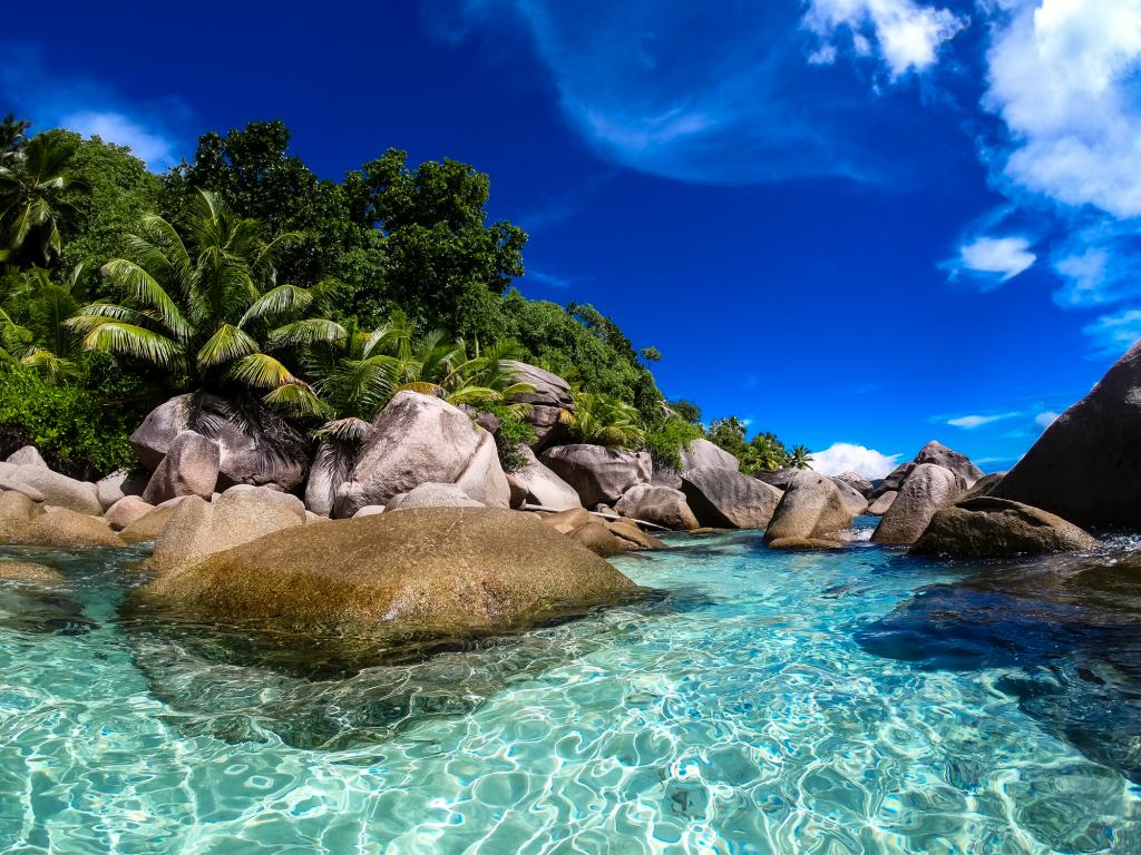 Dream Yacht Silhouette Dream - Foto 4