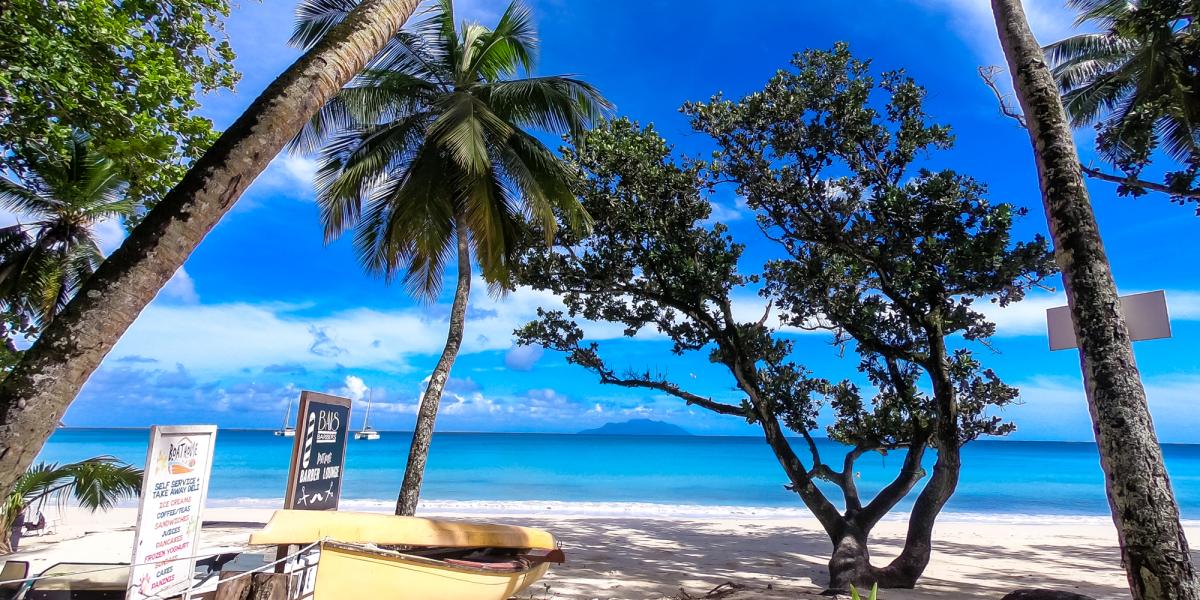 Dream Yacht Silhouette Dream