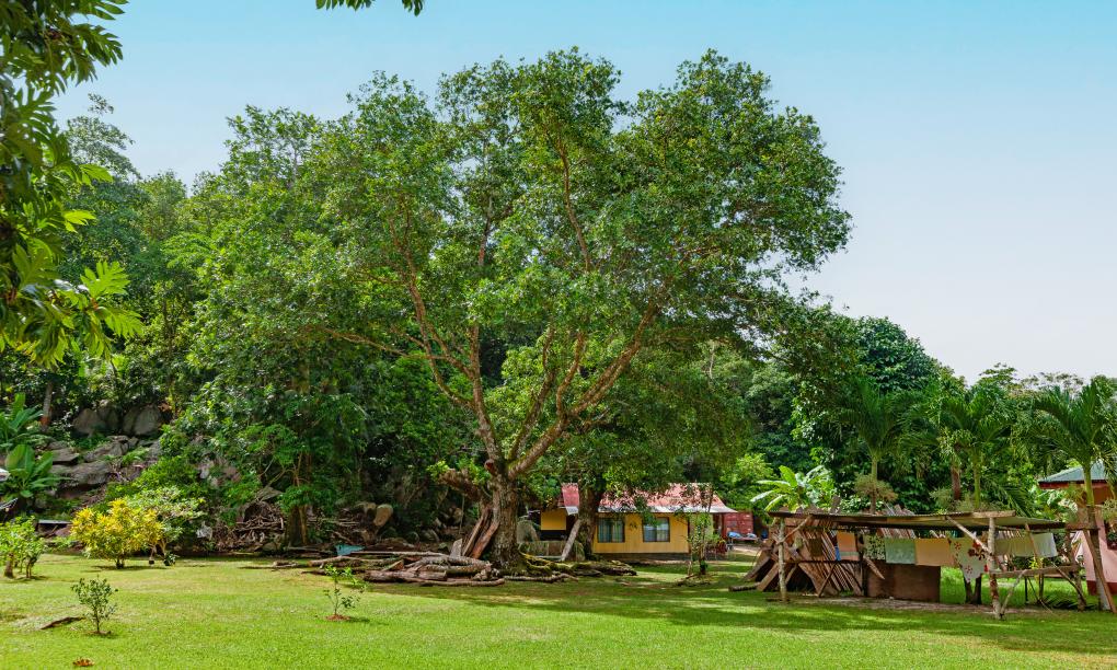 Dan Zoranz Self Catering Guest House