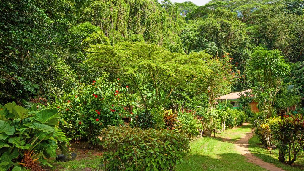 Foto 29: Dan Zoranz Self Catering Guest House - La Digue (Seychellen)