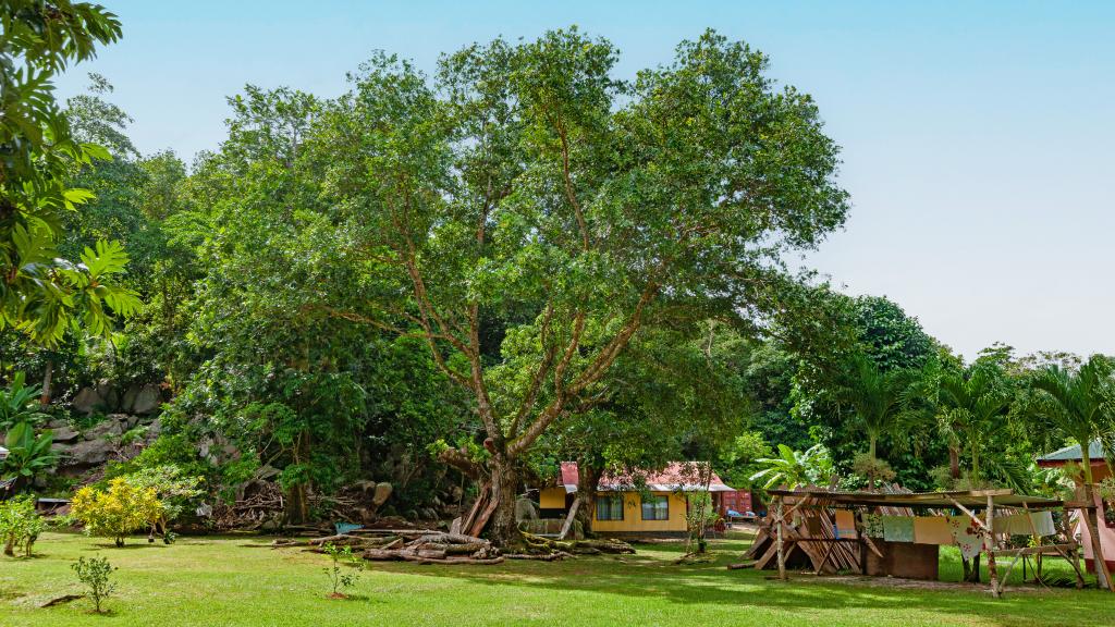 Photo 6: Dan Zoranz Self Catering Guest House - La Digue (Seychelles)