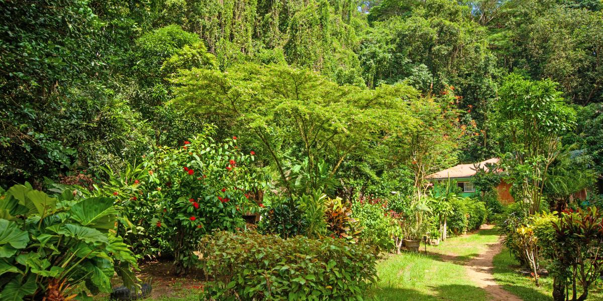 Dan Zoranz Self Catering Guest House