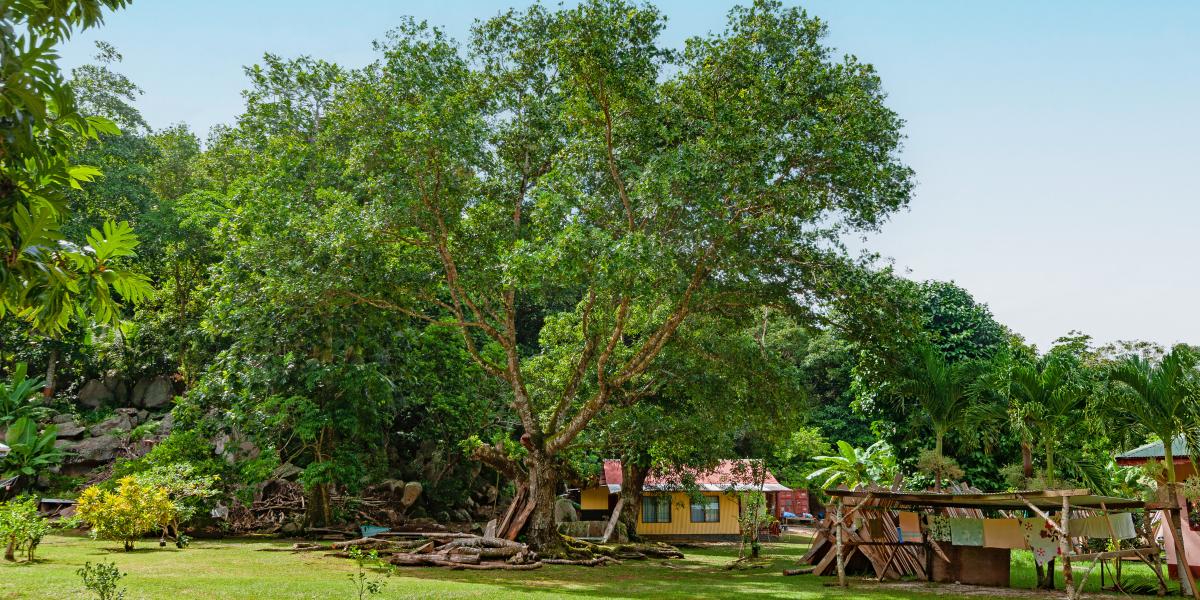 Dan Zoranz Self Catering Guest House