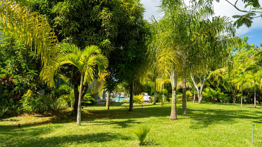 Foto 67: Eden Tropical Nest - Mahé (Seychelles)