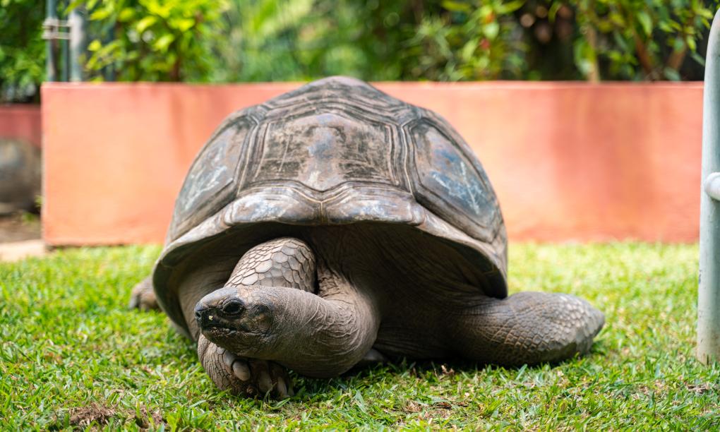 Cap-Sud Self Catering