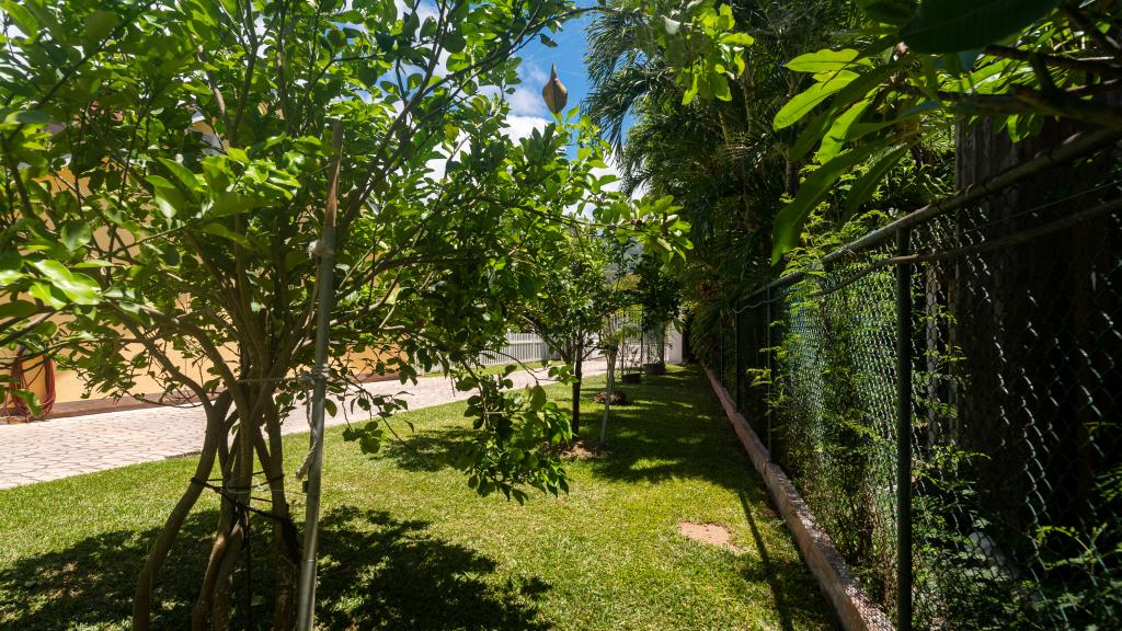 Photo 16: Cap-Sud Self Catering - Mahé (Seychelles)