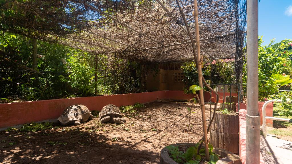 Foto 77: Cap-Sud Self Catering - Mahé (Seychelles)