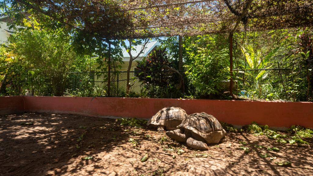 Foto 76: Cap-Sud Self Catering - Mahé (Seychelles)