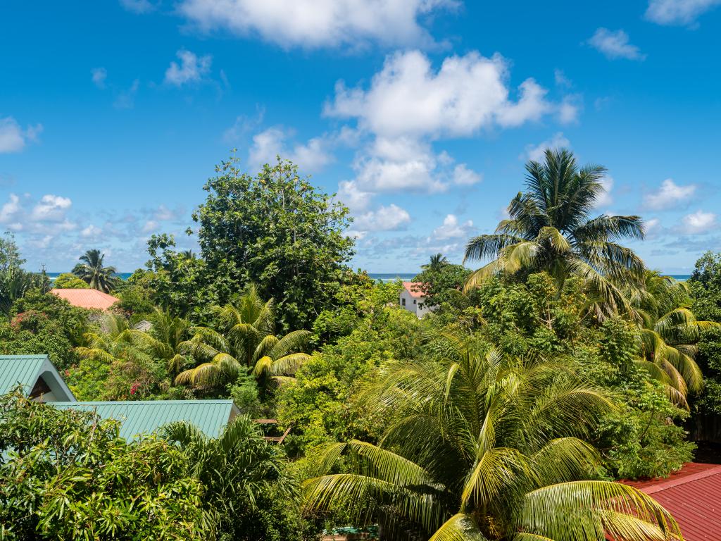 Cap-Sud Self Catering - Photo 7