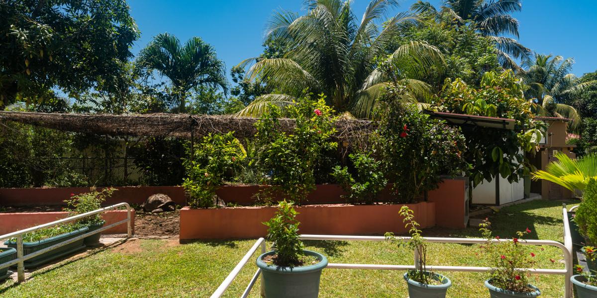 Cap-Sud Self Catering