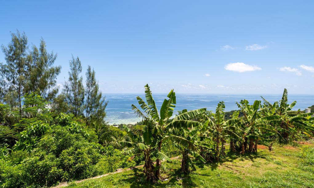 Amanda Luxury Villa - Family Double Room