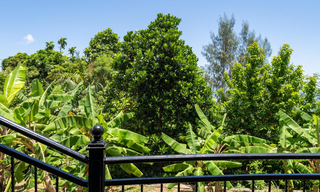 Amanda Luxury Villa - Standard Double Room with Balcony