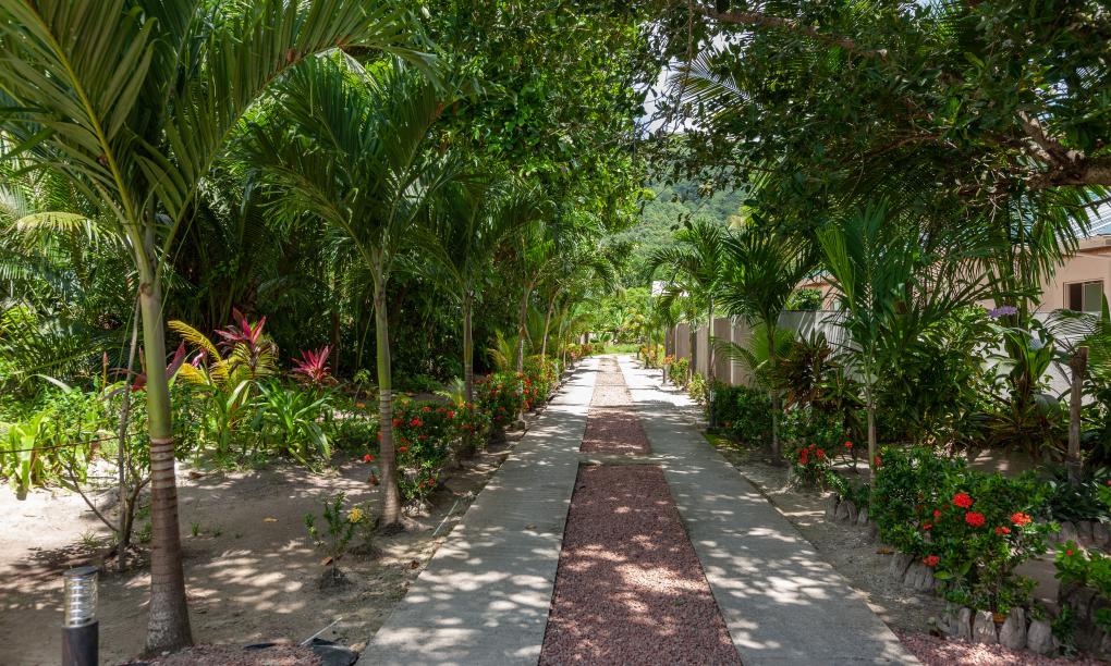 Belle Vacance Self Catering