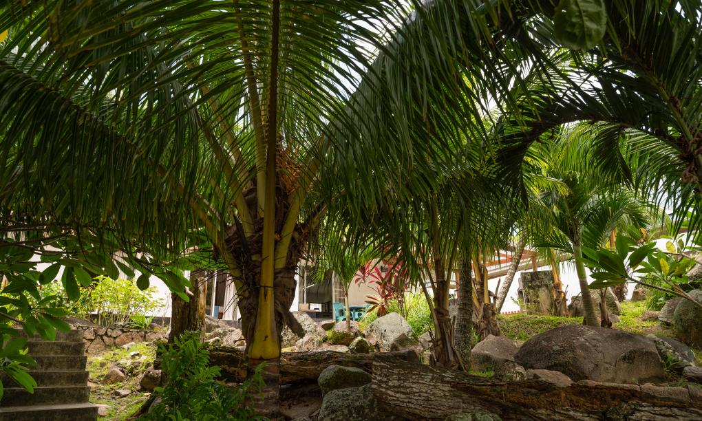 Pebbles Cove - 3-Bedroom House