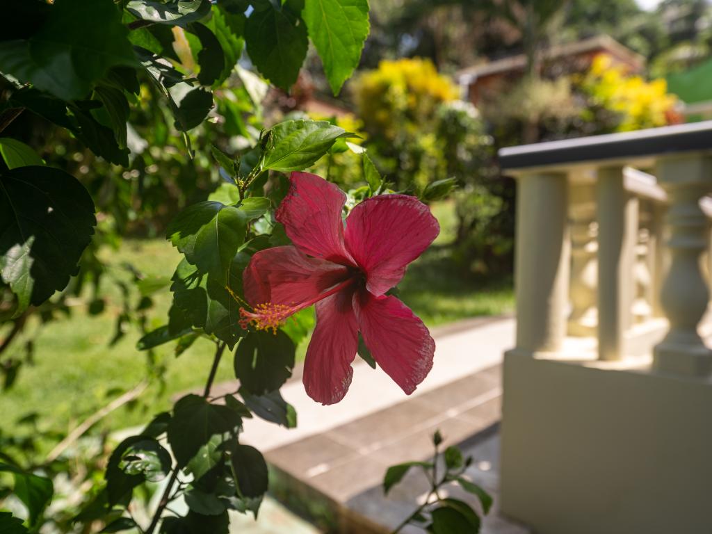 Chrisent Residence - Foto 3