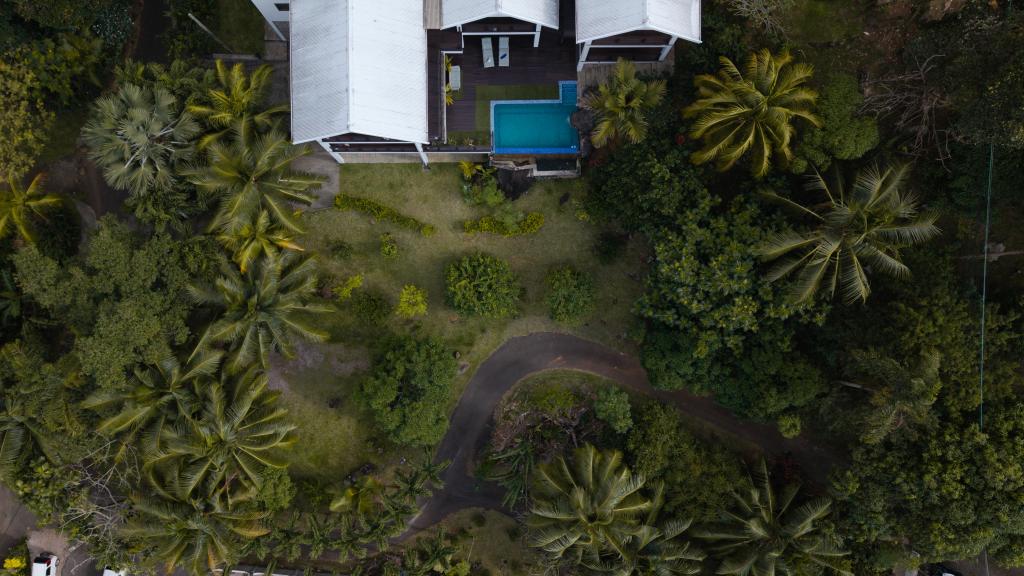 Foto 90: Coconut Climb - Mahé (Seychelles)