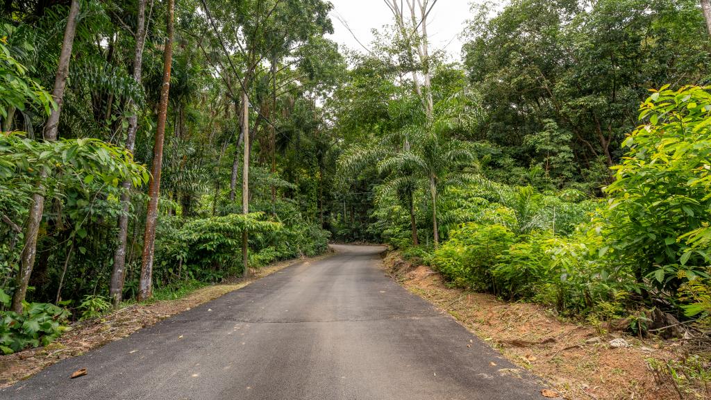 Foto 19: Coconut Climb - Mahé (Seychelles)