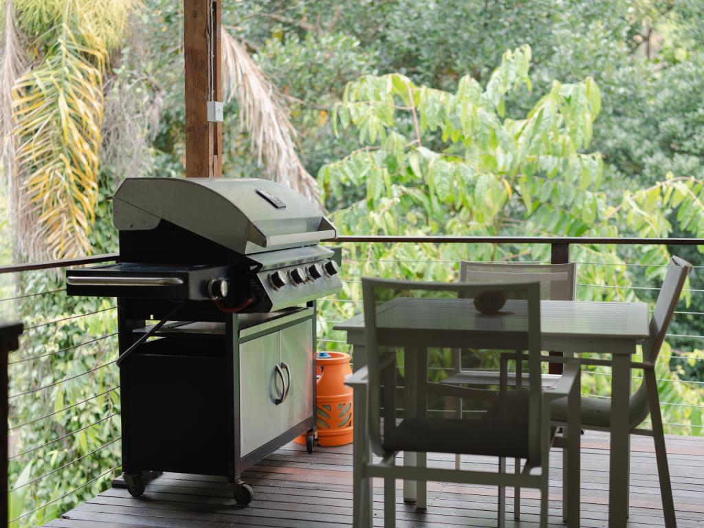 Coconut Climb - Photo 6