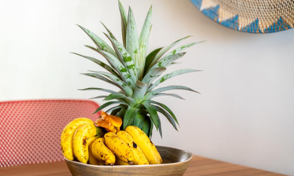 La Desirade - Studio