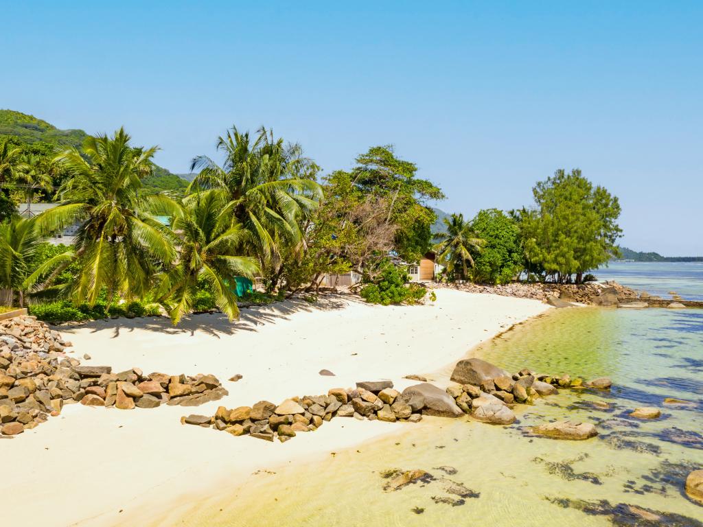 La Desirade - Foto 9