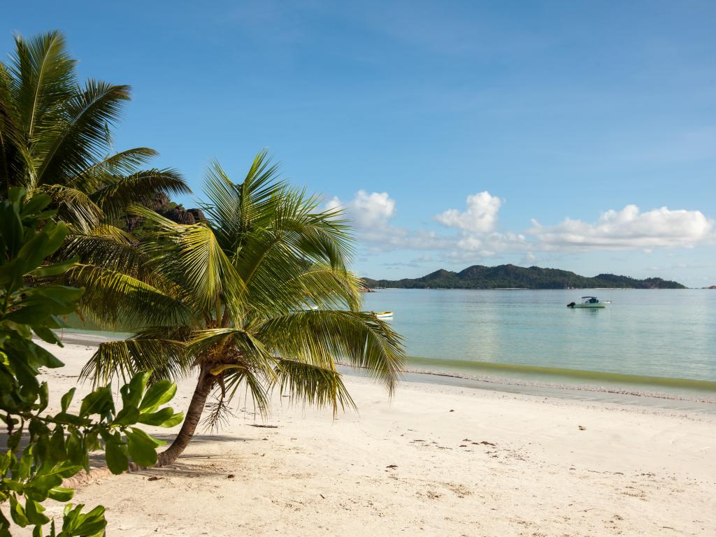 Cote D'Or Chalets - Foto 2