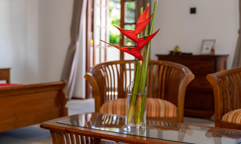 Hilltop Boutique Hotel - Appartamento con 1 Camera Standard