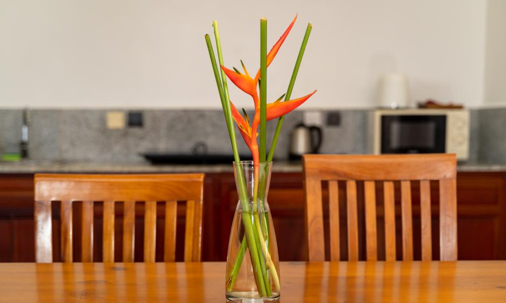 Hilltop Boutique Hotel - Appartamento con 1 Camera Suite