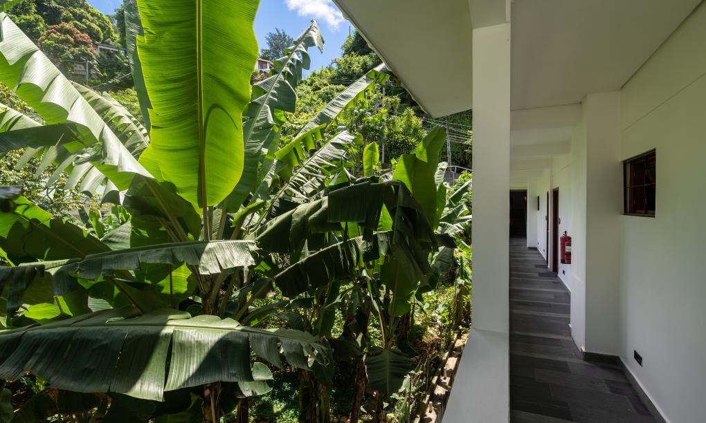 Hilltop Boutique Hotel - Monolocale