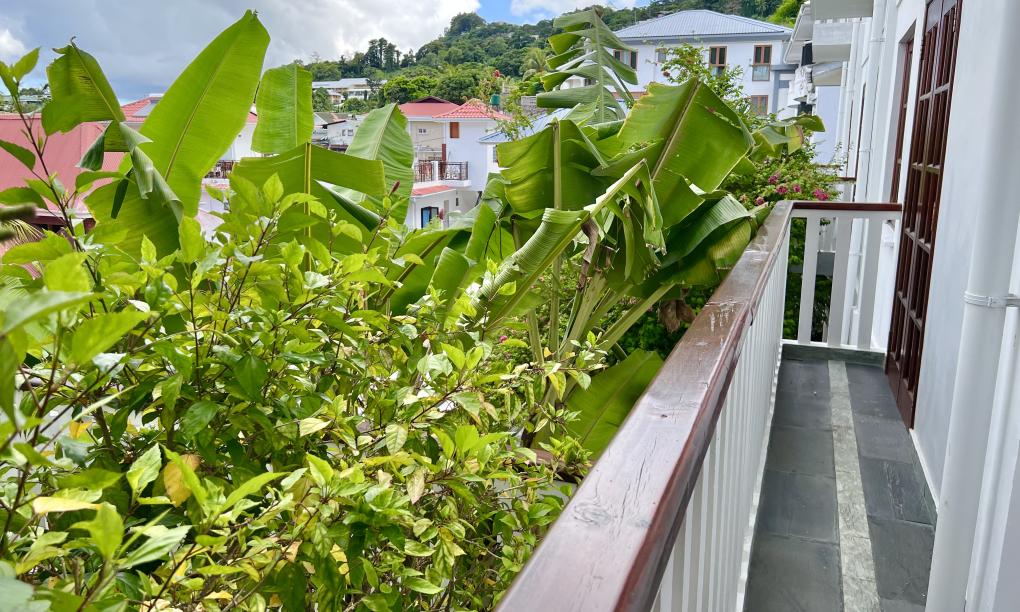 Hilltop Boutique Hotel - Appartamento con 2 camere