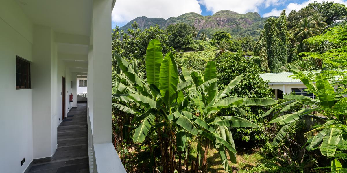 Hilltop Boutique Hotel - Appartamento con 1 Camera Suite