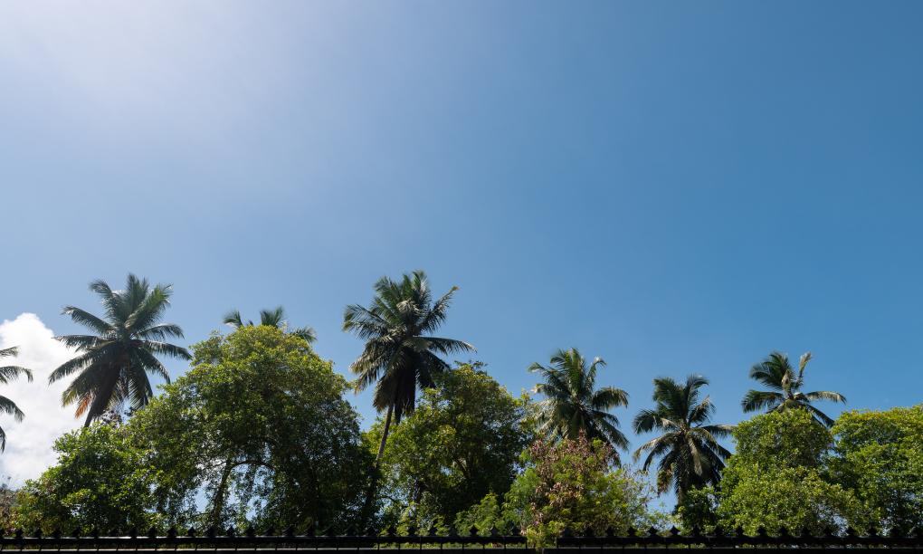 Royale Suites by Arc Royale Luxury Apartments