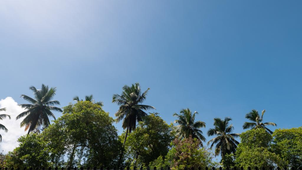 Foto 6: Royale Suites by Arc Royale Luxury Apartments - Mahé (Seychelles)