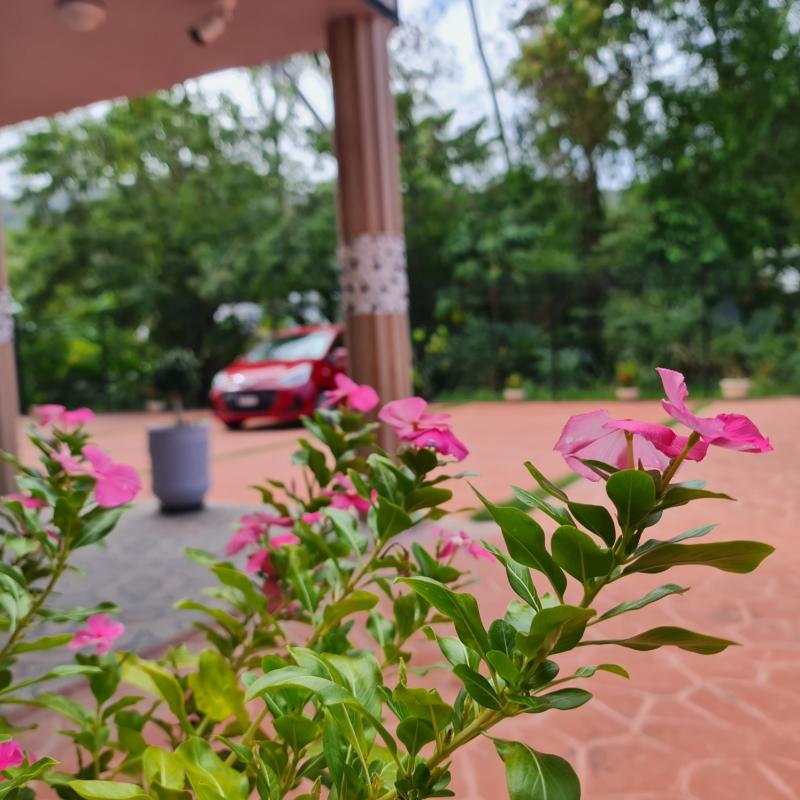 Royale Suites by Arc Royale Luxury Apartments