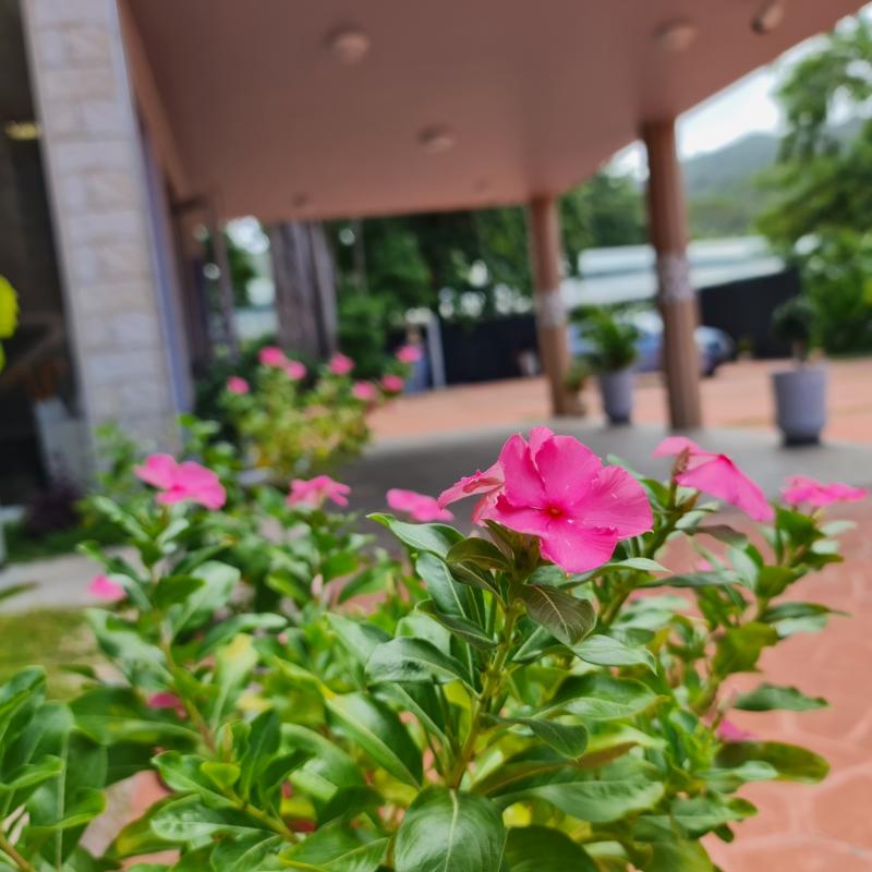 Royale Suites by Arc Royale Luxury Apartments