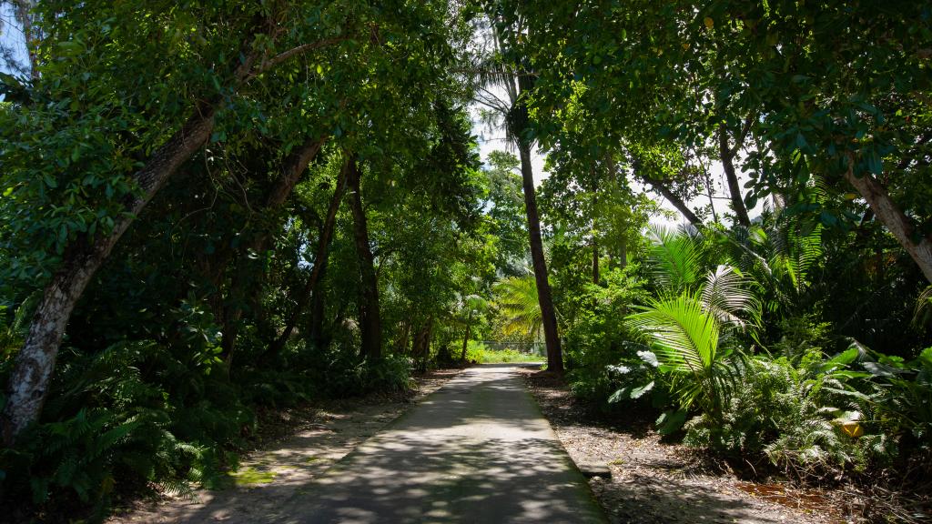 Photo 23: Palm Holiday Apartments - Praslin (Seychelles)