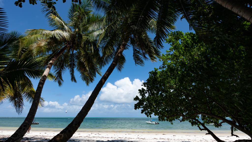 Foto 7: Palm Holiday Apartments - Praslin (Seychelles)