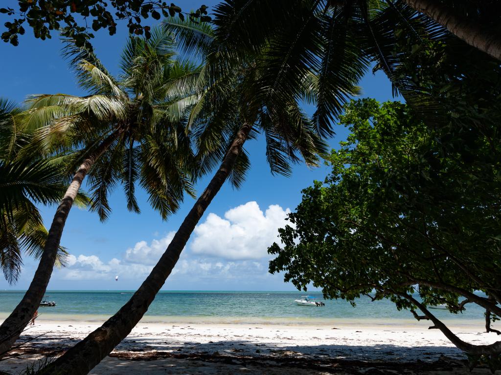 Palm Holiday Apartments - Foto 7