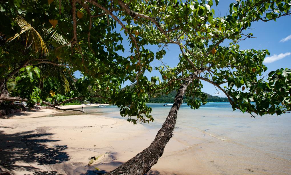 The Marine Park Cottage