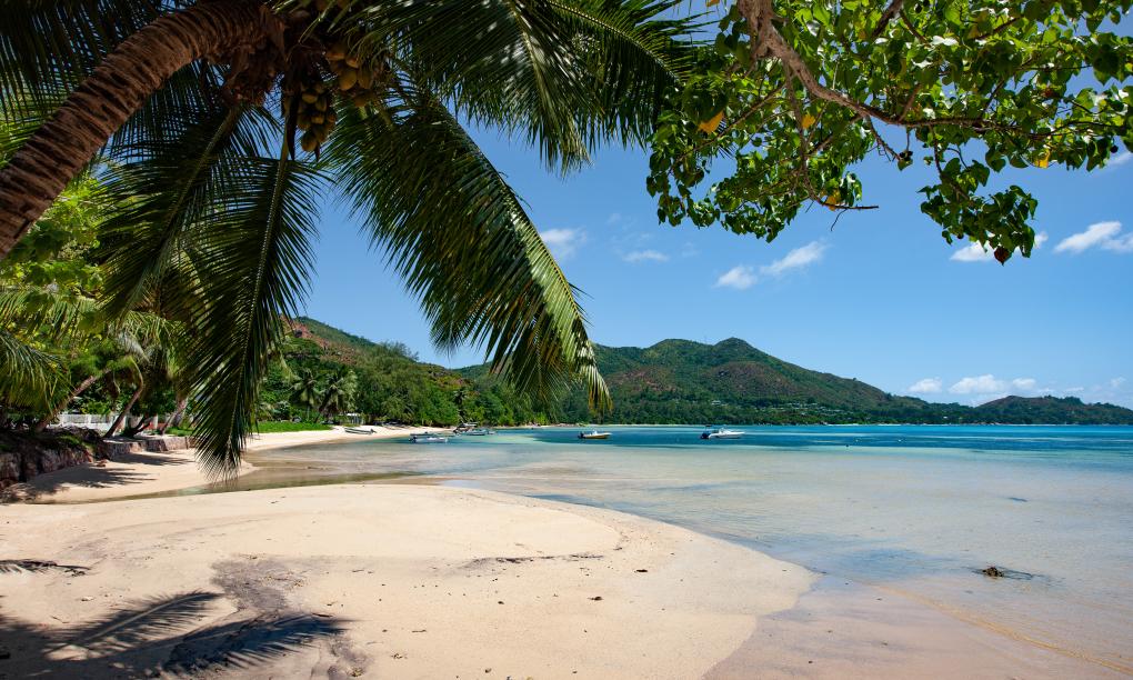 The Marine Park Cottage