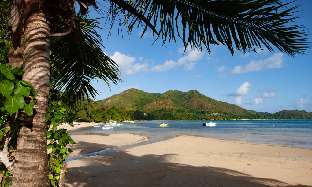 The Marine Park Cottage