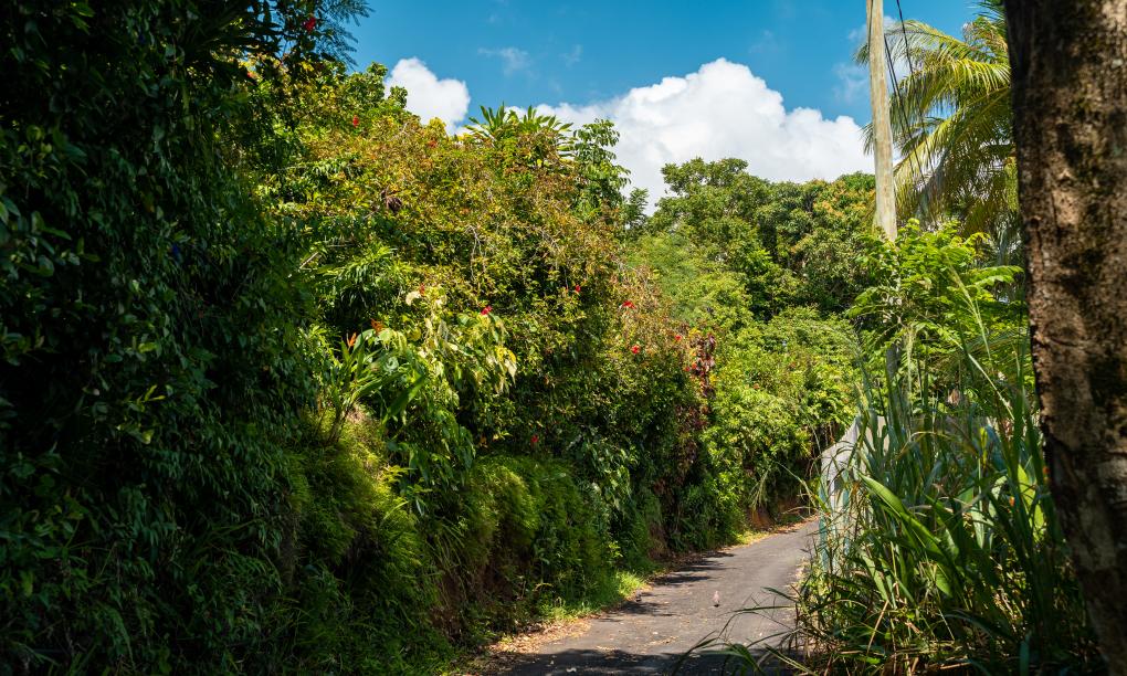 Residence Monte Cristo