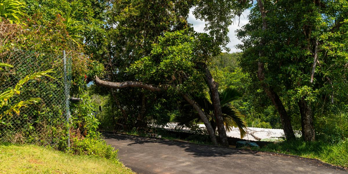 Residence Monte Cristo