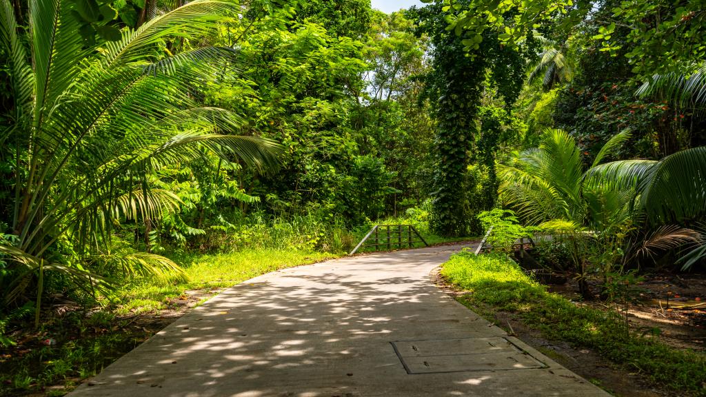 Foto 78: Pineapple Beach Villas - Mahé (Seychellen)