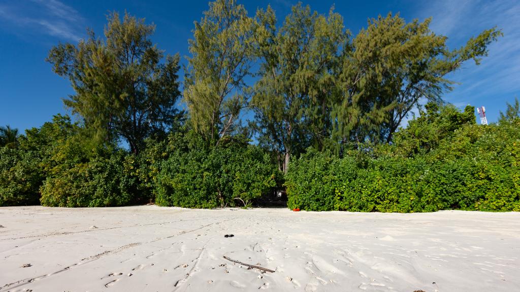 Photo 32: Saria Self Catering - Praslin (Seychelles)