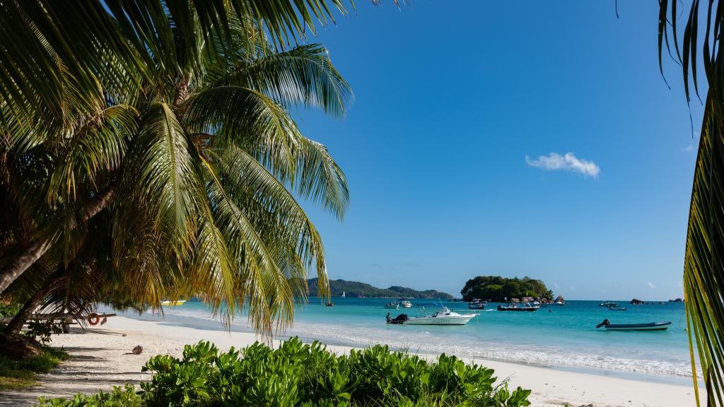 Photo 16: Saria Self Catering - Praslin (Seychelles)