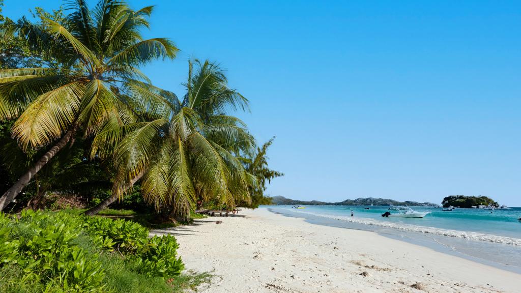 Photo 31: Saria Self Catering - Praslin (Seychelles)